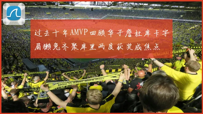 过去十年AMVP回顾华子詹杜库卡字眉獭兔齐聚库里两度获奖成焦点