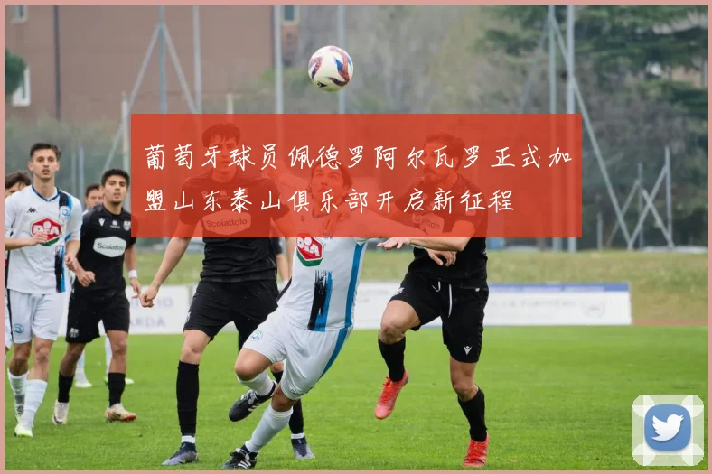 葡萄牙球员佩德罗阿尔瓦罗正式加盟山东泰山俱乐部开启新征程